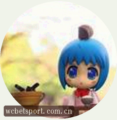 赵磊